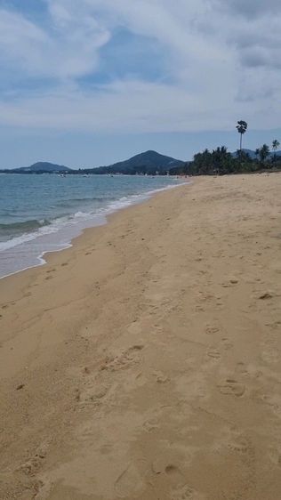ขายที่ดินติดทะเลเกาะสมุย รูปที่ 2