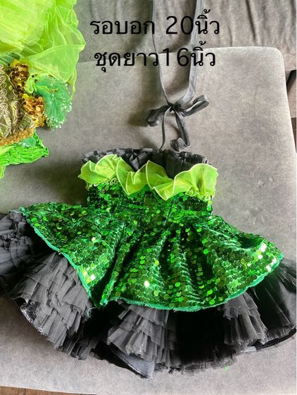 ชุดดรัมม์