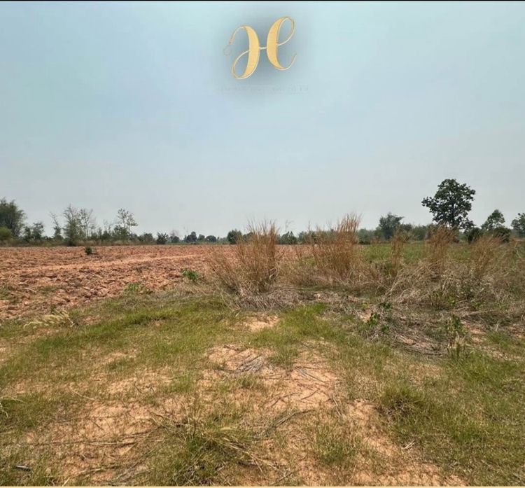 ขายถูก27ไร่ชุมแพ