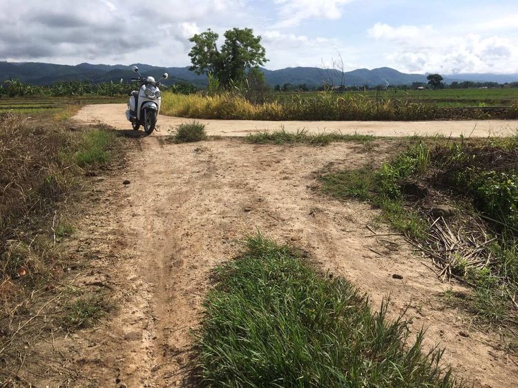 ที่นา 6 ไร่ บ้านดอยแก้ว อำเภอแม่อาย เชียงใหม่ รูปที่ 2