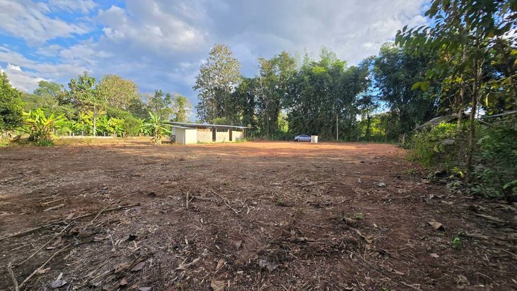 ที่ดินพร้อมสร้างบ้าน ทำเลโคตรดี เมืองน่าน บ้านกิ่วป่า 5 ต.ถืมตอง อ.เมือง จ.น่าน รูปที่ 3