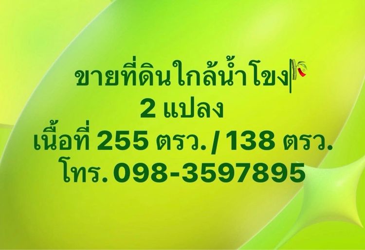 ขายที่ดิน ใกล้แม่น้ำโขง