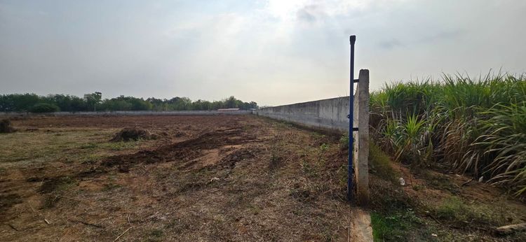 ขายที่ดินพร้อมสิ่งปลูกสร้าง ทำเลดี บรรยากาศร่มรื่น