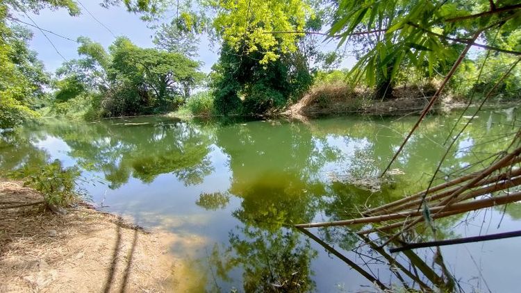 ติดแม่น้ำติดถนนคอนกรีต เจ้าของขายเองใกล้ทางขึ้นดอยอินทนนท์ ห้างโลตัสแมคโครจอมทองเพียง 5 นาที