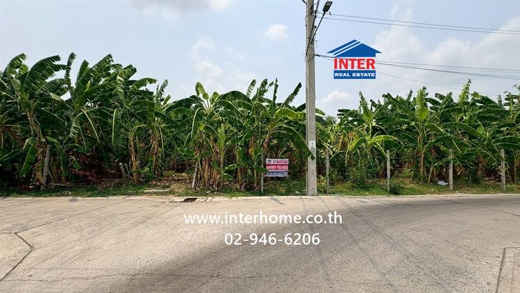 ที่ดินเปล่า 1 ไร่ 16 ตร.ว. ที่ดิน ซอยนาคนิวาส21 ซอยทองเกสร ถนนนาคนิวาศ ถนนซอยนาคนิวาส21 เขตลาดพร้าว กรุงเทพมหานคร รูปที่ 2