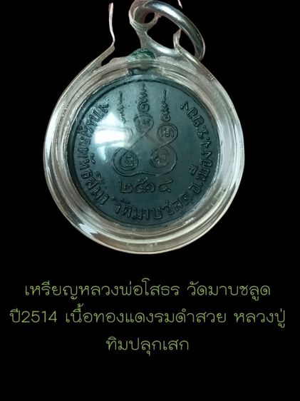 เหรียญหลวงพ่อโสธร ปี14 วัดมาบชลูด จ.ระยอง หลวงปู่ทิม วัดละหารไร่ ปลุกเสก รูปที่ 4