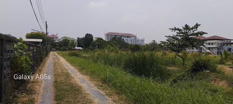 ใช่ ที่ดินติดสุวรรณภูมิ ลาดกระบัง รูปที่ 4