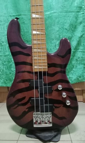 Bass ESP รูปที่ 2