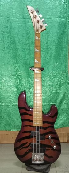 Bass ESP รูปที่ 8