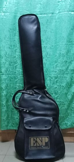Bass ESP รูปที่ 14