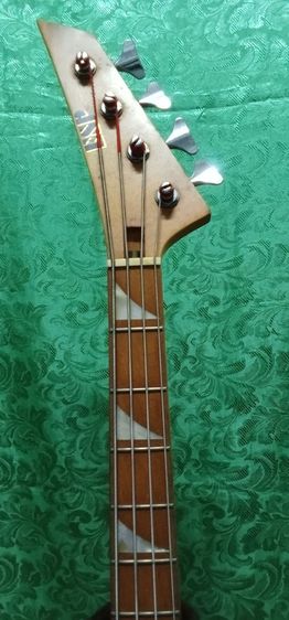 Bass ESP รูปที่ 11