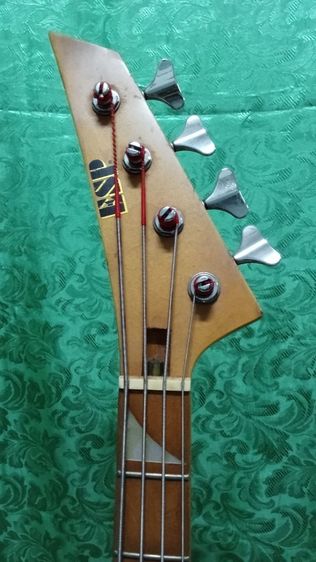Bass ESP รูปที่ 10