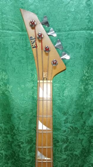 Bass ESP รูปที่ 13
