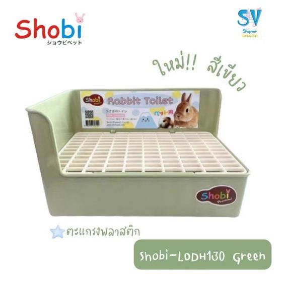ห้องน้ำกระต่าย