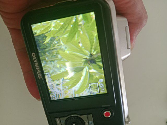กล้องคอมแพค ไม่กันน้ำ Olympus Sp-600uz
