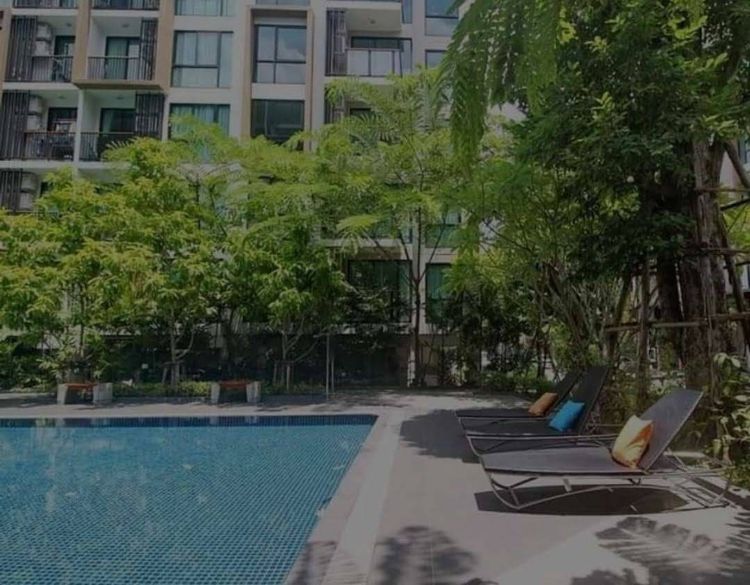 Prinsiri ไม่อนุญาต ตกแต่งครบ 2016 Zelle รัตนาธิเบศร์  พร้อมผู้เช่า รูปที่ 2