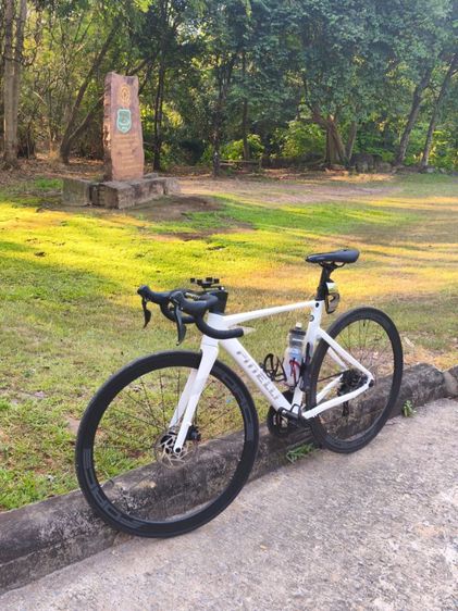 จักรยานเสือหมอบ PINELLI รุ่น R780
