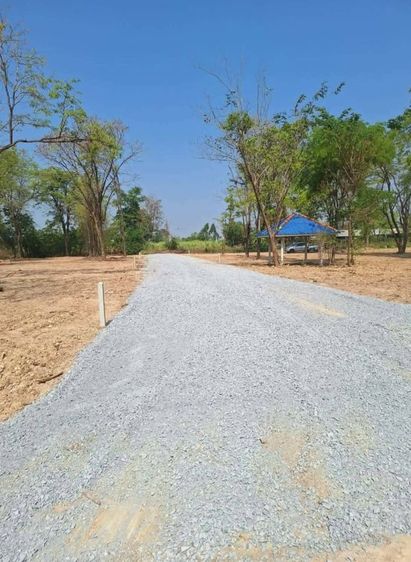 ที่ดินแปลงเล็กสุพรรณบุรี รูปที่ 3