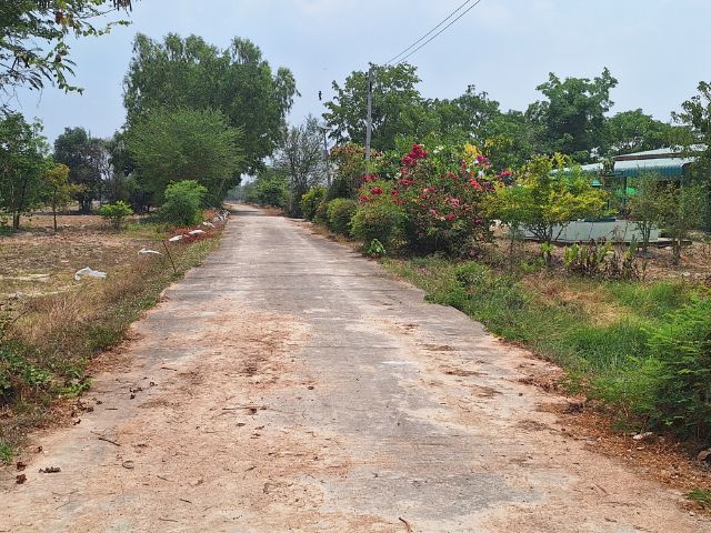 ใช่ ที่ดินเพื่อการเกษตรและอยู่อาศัย 5 ไร่ รูปที่ 2