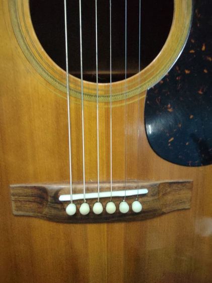 ขายกีต้า Takamine elite tw30g รูปที่ 2