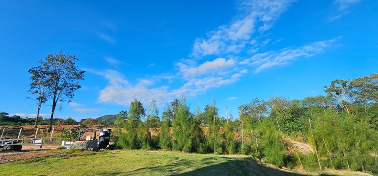 ที่ดินเขาใหญ่ พร้อมคอนเทนเนอร์ 2 ชั้น วิวเขา360° รูปที่ 3