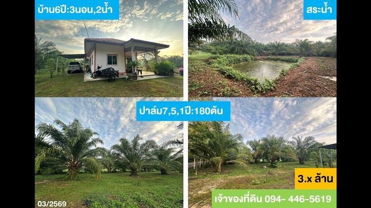 ขายที่สวนปาล์ม รูปที่ 2