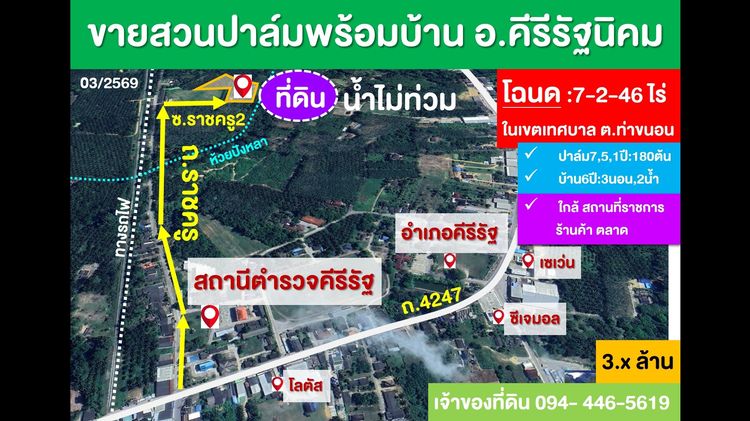 ขายที่สวนปาล์ม