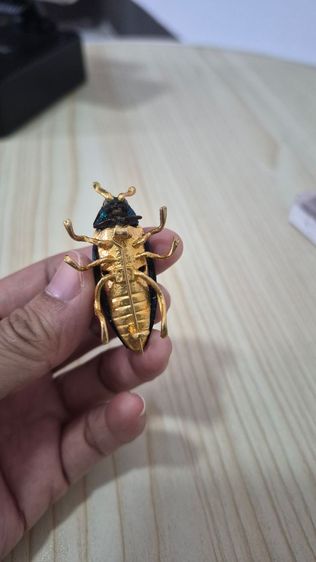 แมงทับประดับเพชรสวยงาม ของเก่าสะสม รูปที่ 4