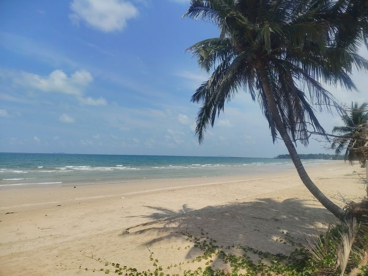 ที่ดินติดชายทะเล  หาดสะพลี จังหวัดชุมพร