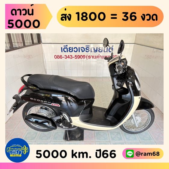 Honda Scoopy  5 คัน เริ่มต้น 38900.-