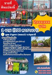 ขายที่ดินด่วน 1 งาน (100 ตารางวา) คูคต ลำลูกกา ปทุมธานี
