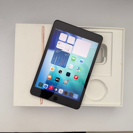Apple 64 GB ipad mini 5 64g ใส่ซิมได้