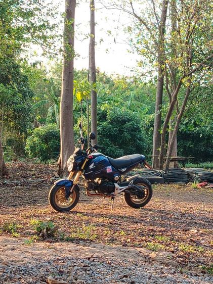 msx.​125 รูปที่ 5