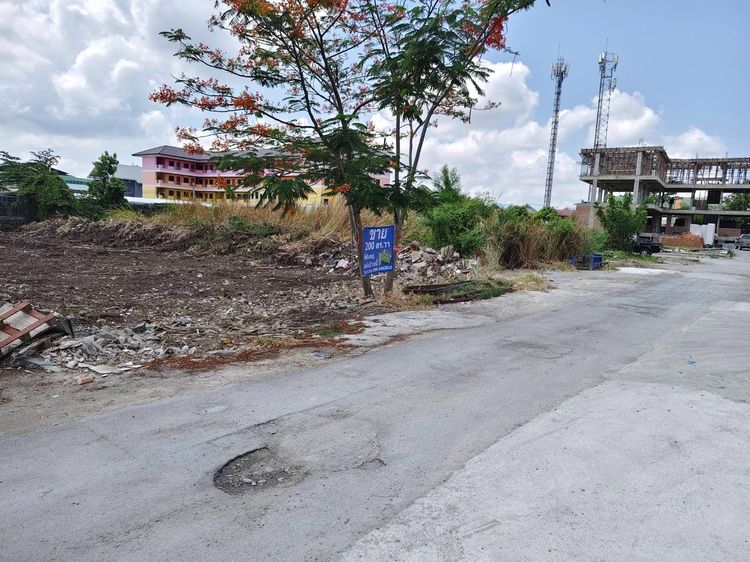 ขายที่ดิน200 ตร.วา ติดถนนกว้าง12เมตร ซอยเฉลิมพระเกิยรติ ร.9 30 แยก 2 (ซอยร่วมสามัคคี) ดอกไม้ ประเวศ กรุงเทพ พื้นที่สีเหลือง รูปที่ 2