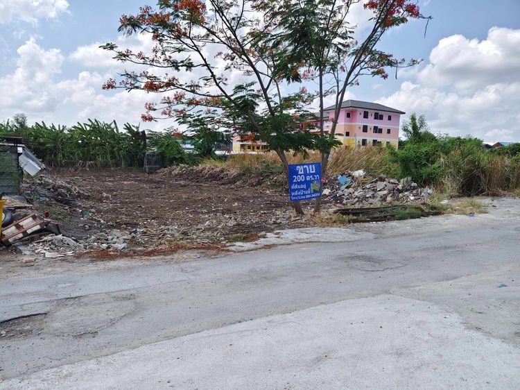ขายที่ดิน200 ตร.วา ติดถนนกว้าง12เมตร ซอยเฉลิมพระเกิยรติ ร.9 30 แยก 2 (ซอยร่วมสามัคคี) ดอกไม้ ประเวศ กรุงเทพ พื้นที่สีเหลือง รูปที่ 3