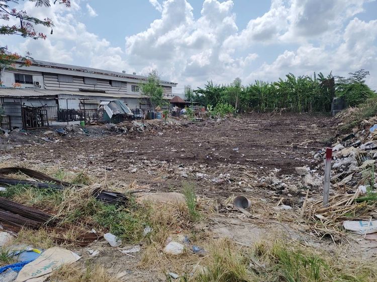 ขายที่ดิน200 ตร.วา ติดถนนกว้าง12เมตร ซอยเฉลิมพระเกิยรติ ร.9 30 แยก 2 (ซอยร่วมสามัคคี) ดอกไม้ ประเวศ กรุงเทพ พื้นที่สีเหลือง รูปที่ 4