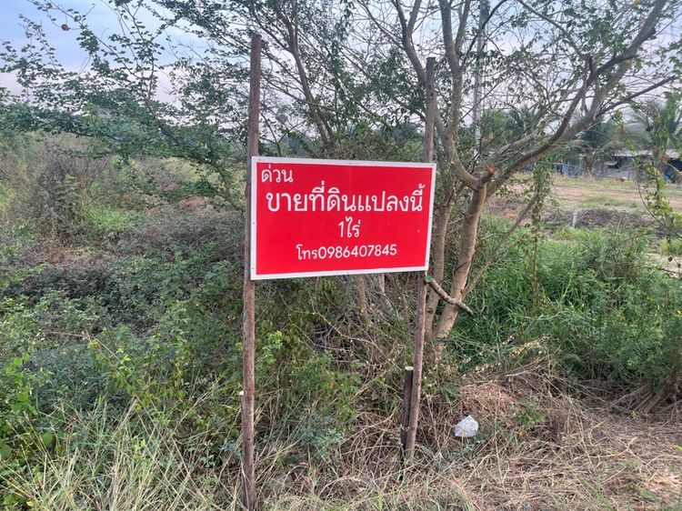 ด่วนขายที่ดิน 1 ไร่ 