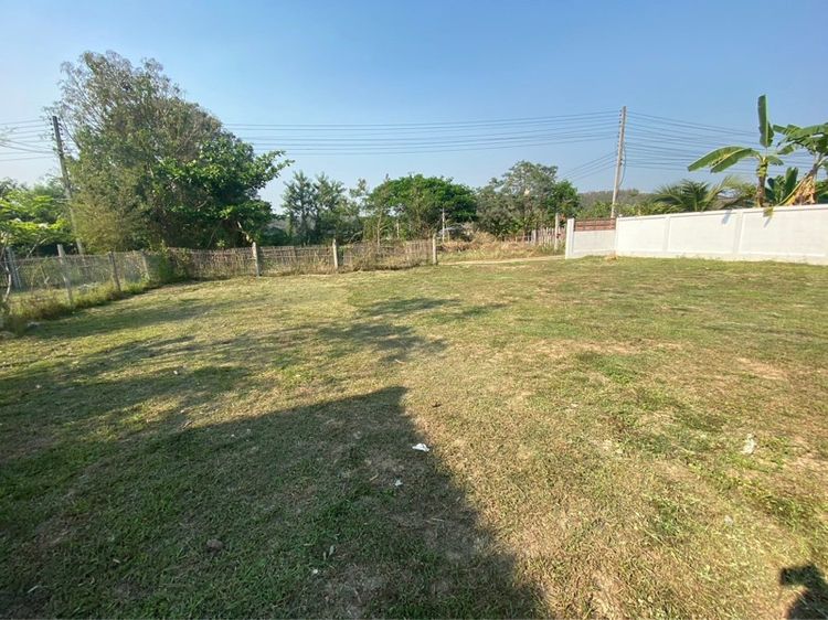 ที่ดินถมแล้วพร้อมสร้างบ้าน รูปที่ 4