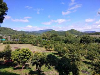 ขายที่ดินนินเขาวิวสวย วิวเขา 360°