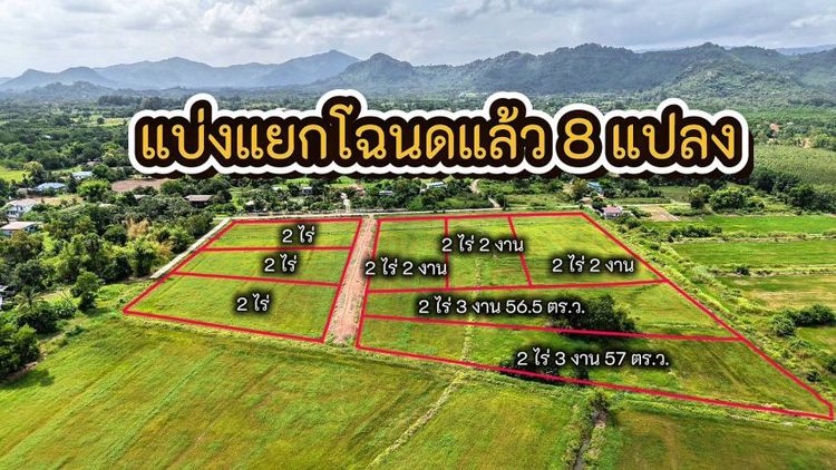 ที่ดินเปล่า