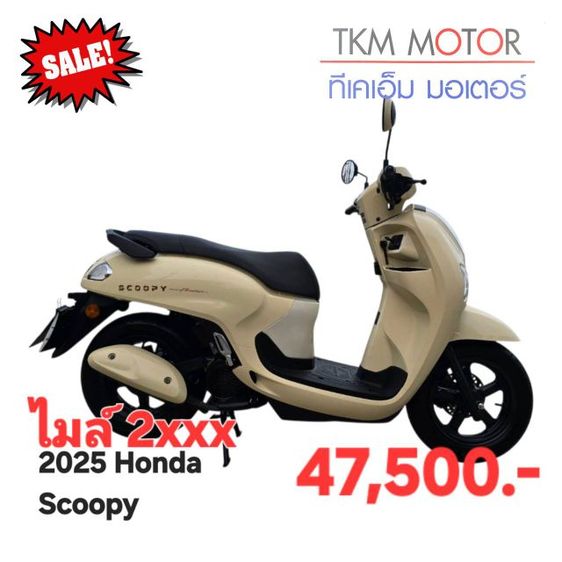 ขายด่วน honda scoopy ปี 2025