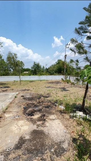 ใช่ ที่ดิน 100 ตร.ว. รูปที่ 3