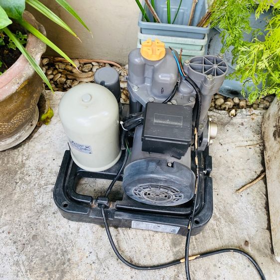 📢 ขายปั๊มน้ำ 300W แรงดี น้ำสม่ำเสมอ รูปที่ 2