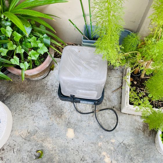 📢 ขายปั๊มน้ำ 300W แรงดี น้ำสม่ำเสมอ รูปที่ 4