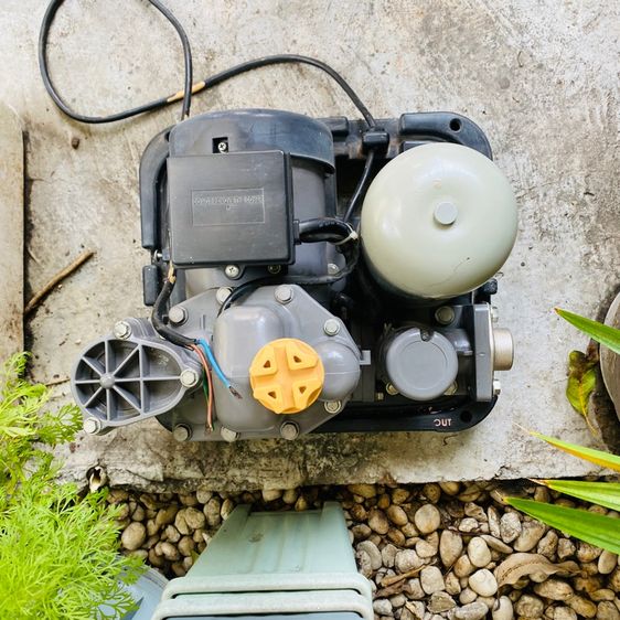 📢 ขายปั๊มน้ำ 300W แรงดี น้ำสม่ำเสมอ