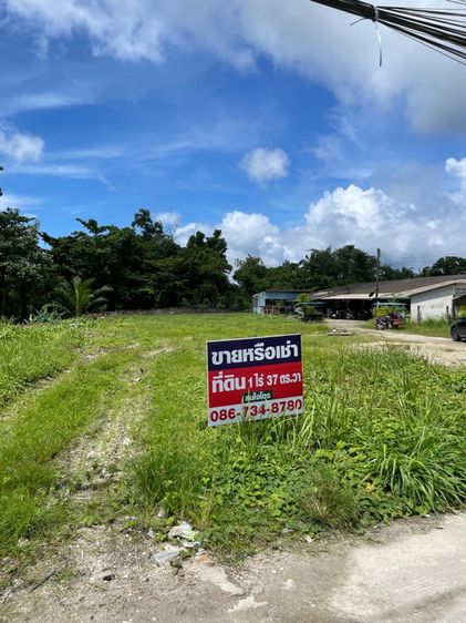 ขายที่ดินตัวเมืองระนอง ใกล้ตลาดใหม่ภักดี