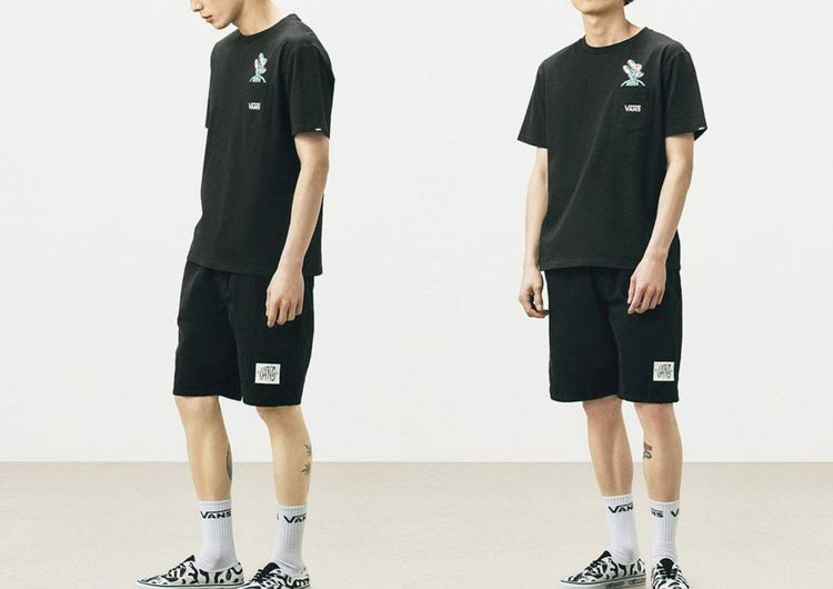 Vans รูปที่ 17