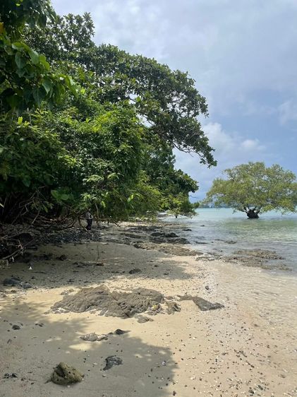 🔹  BEACHFRONT LAND FOR SALE – LON ISLAND, PHUKET 🔹