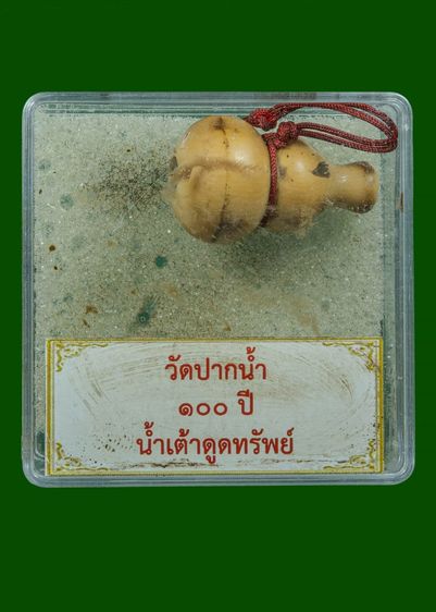 น้ำเต้าหลวงพ่อสด(มีรูปภาพข้างใน) รูปที่ 5