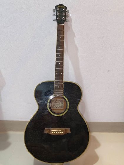 กีตาร์ Ibanez รุ่น V220QM + Acoustic Guitar Hardcase รูปที่ 2